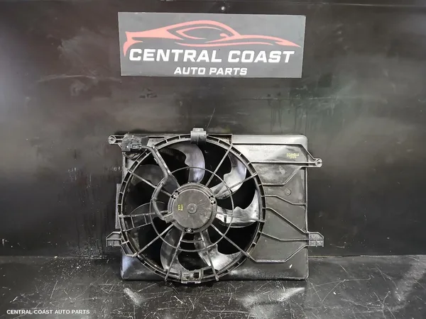 Fan