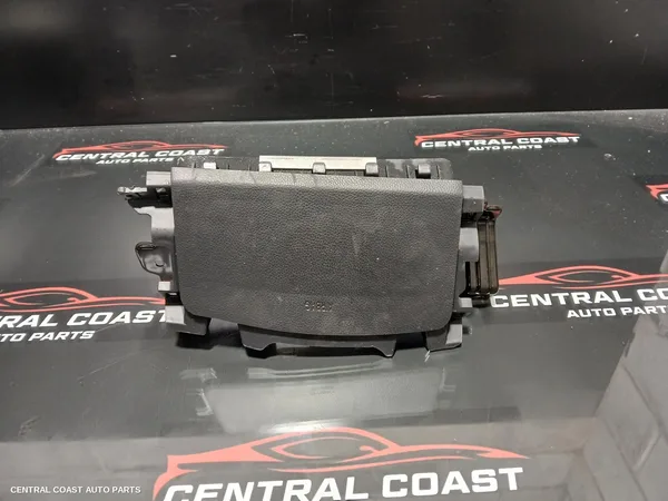 Bonnet Hinge/Strut