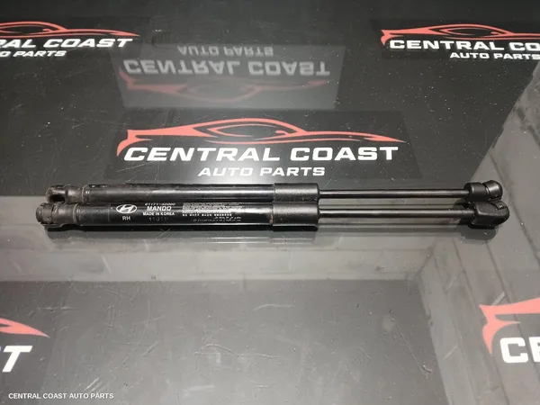 Bonnet Hinge/Strut