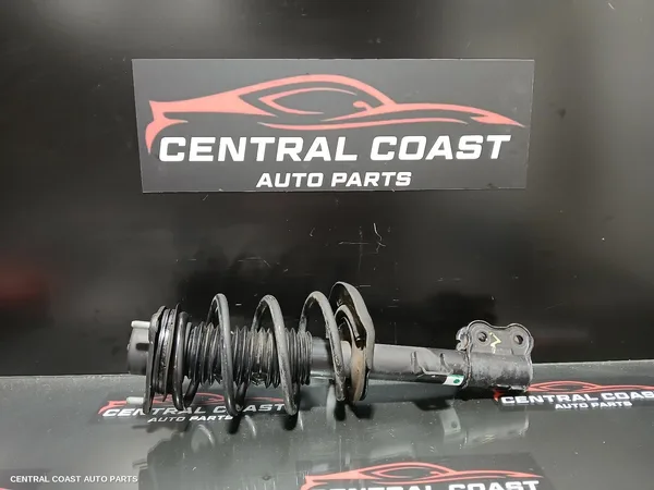 Left Front Strut