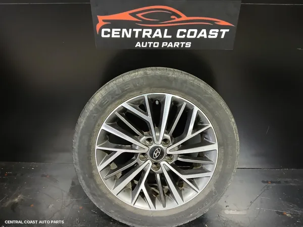 Wheel Mag