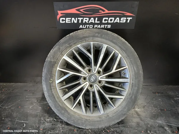 Wheel Mag
