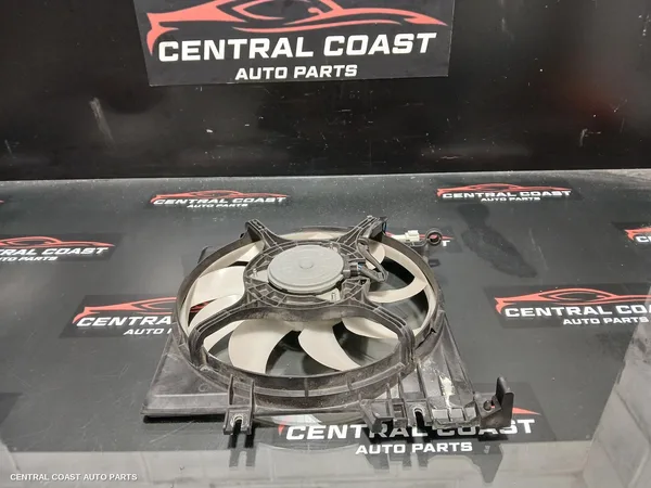 Fan