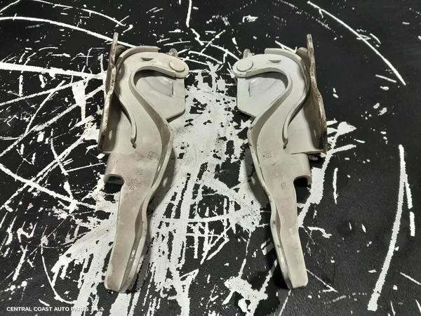Bonnet Hinge/Strut