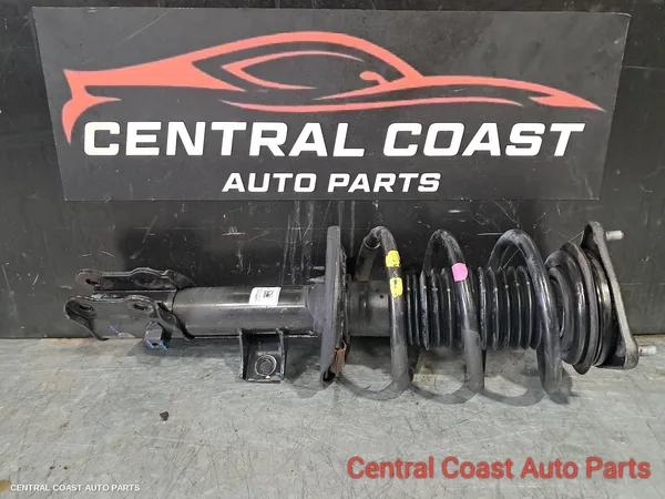Left Front Strut
