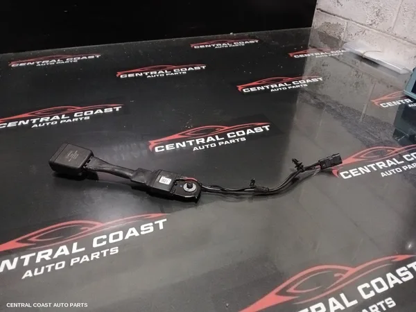 Seatbelt/Stalk