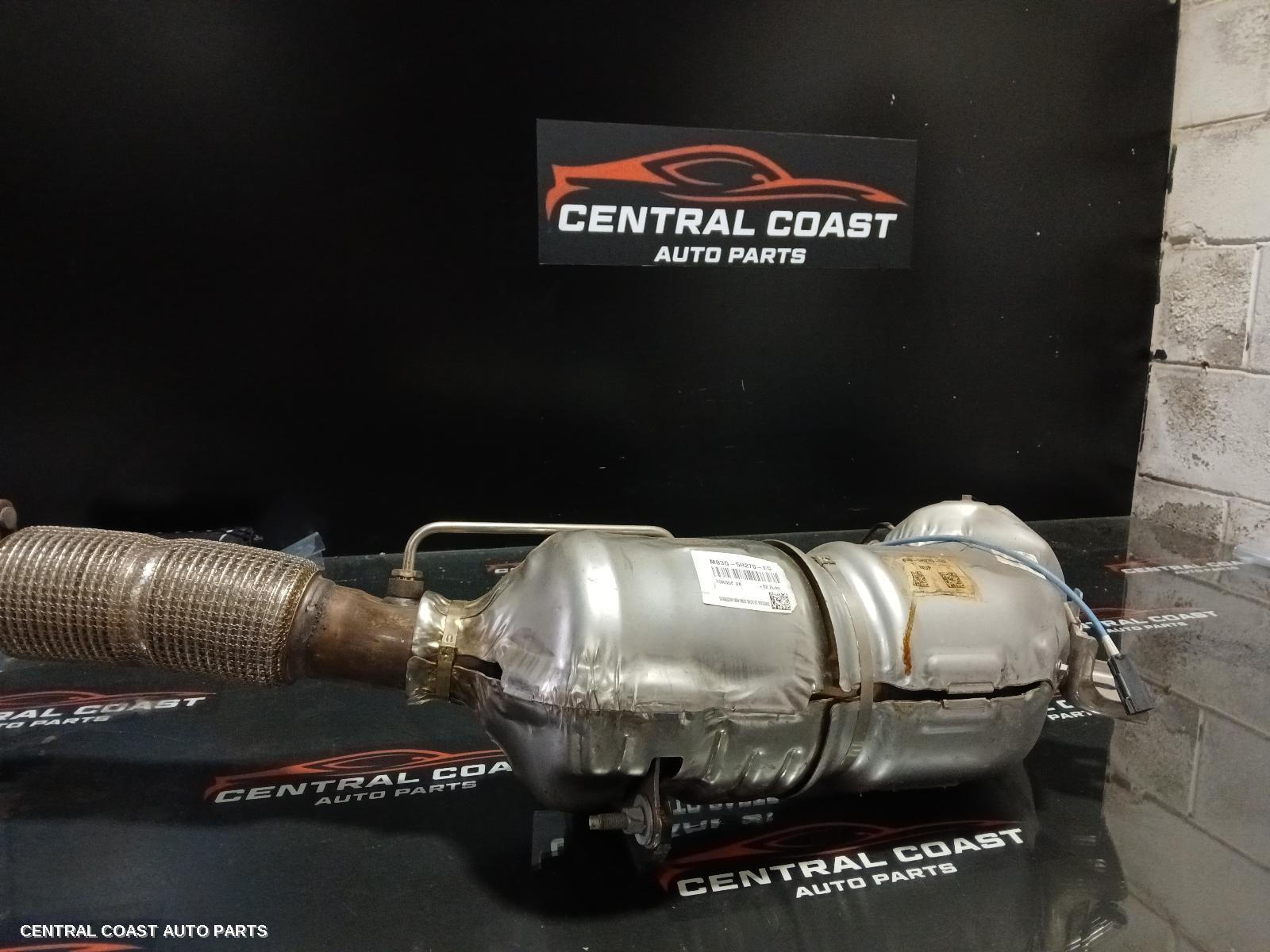 Particulate Filter Dpf