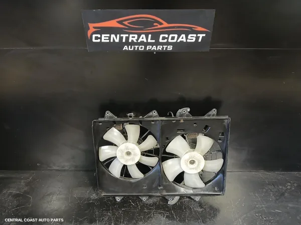 Fan