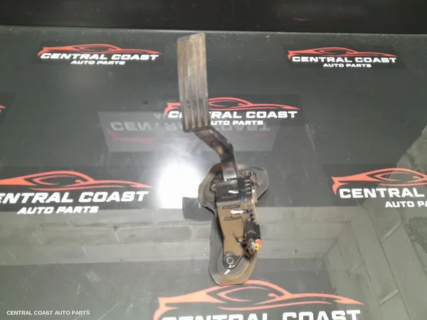 Pedal Assembly
