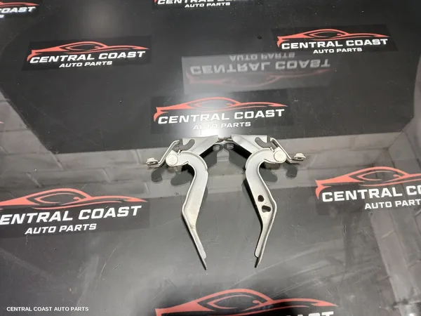 Bonnet Hinge/Strut