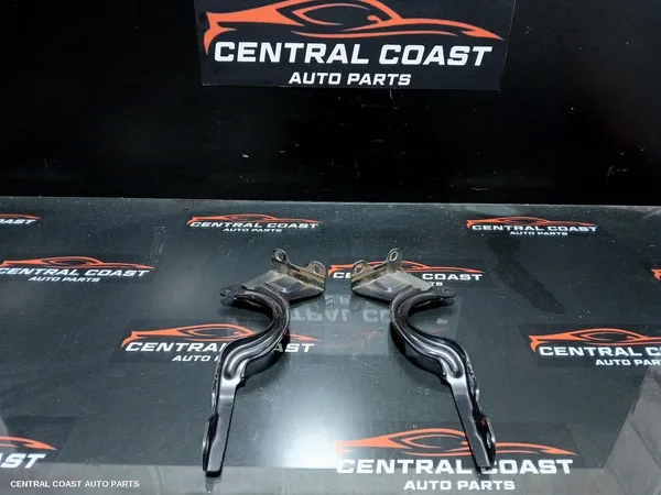Bonnet Hinge/Strut