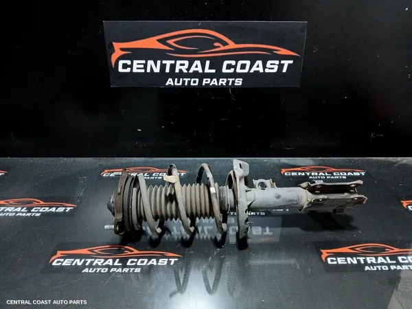 Left Front Strut