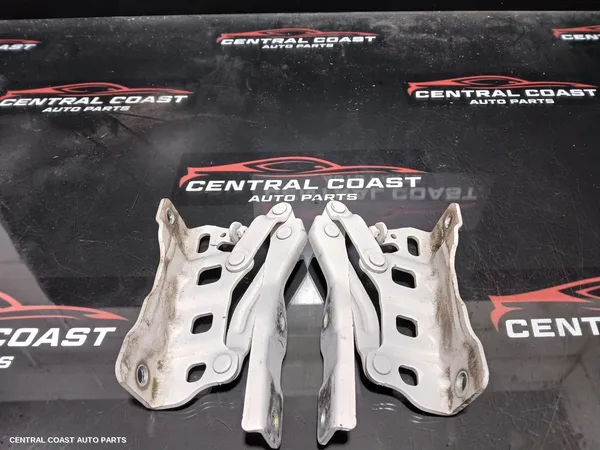 Bonnet Hinge/Strut