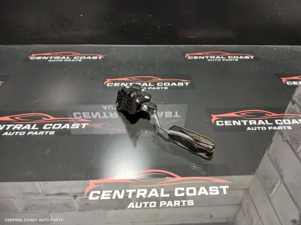 Pedal Assembly