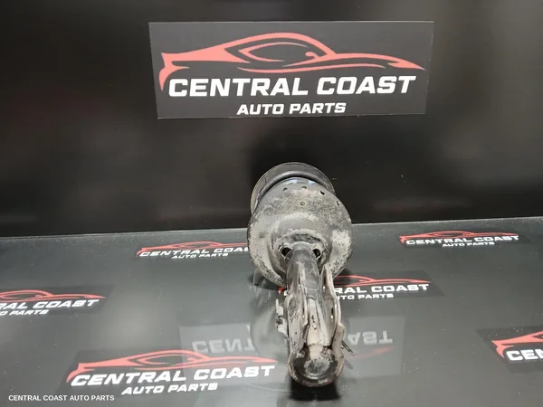 Left Front Strut