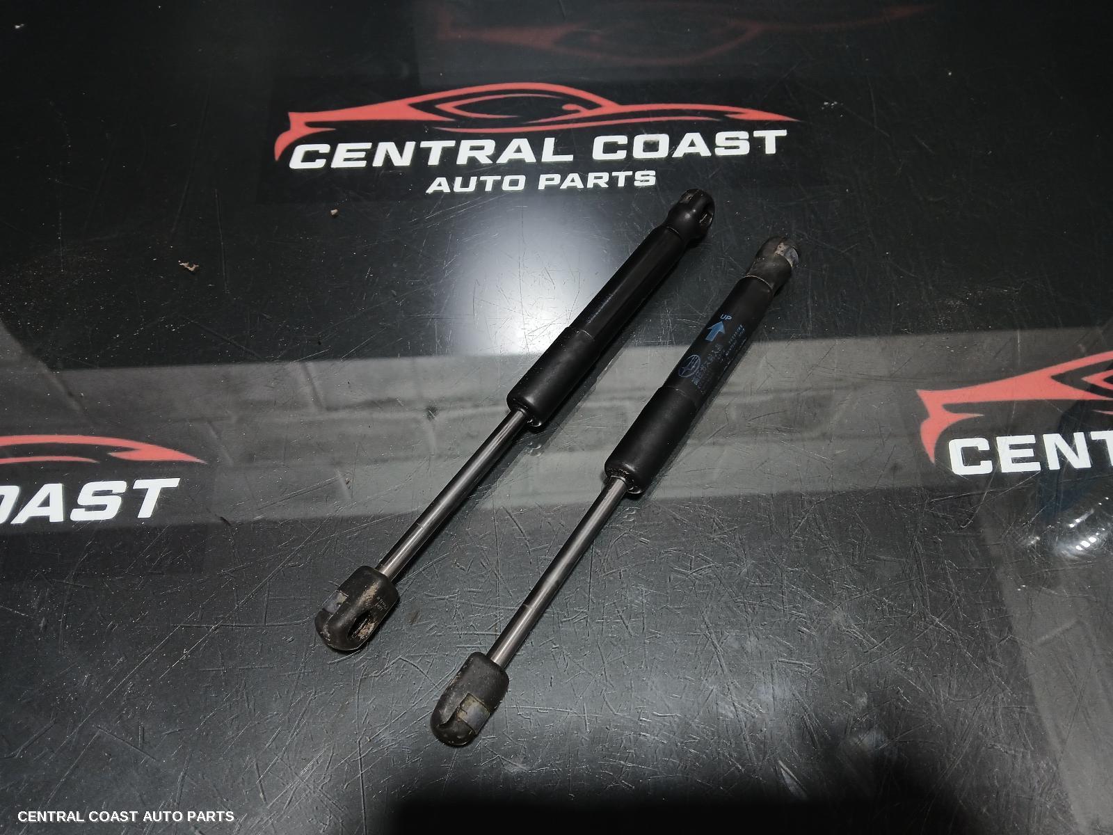 Hatch Strut
