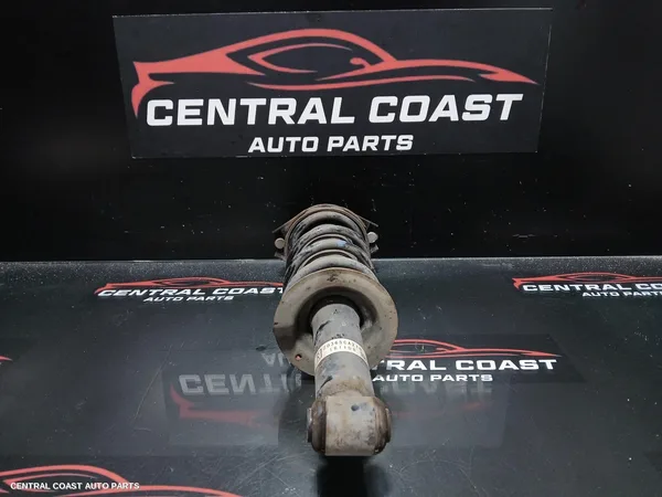 Left Rear Strut