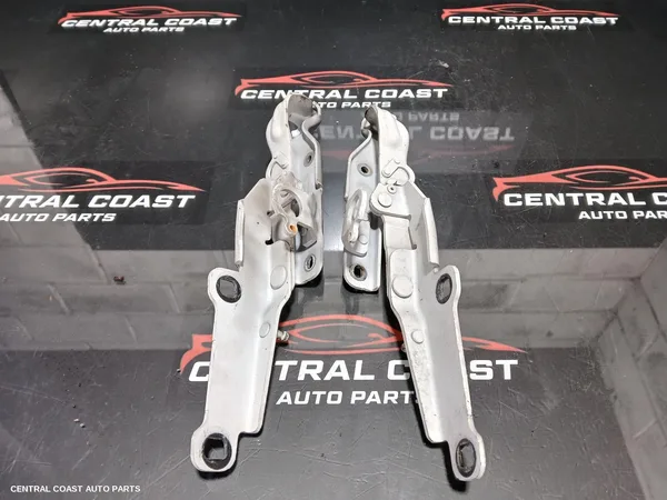 Bonnet Hinge/Strut