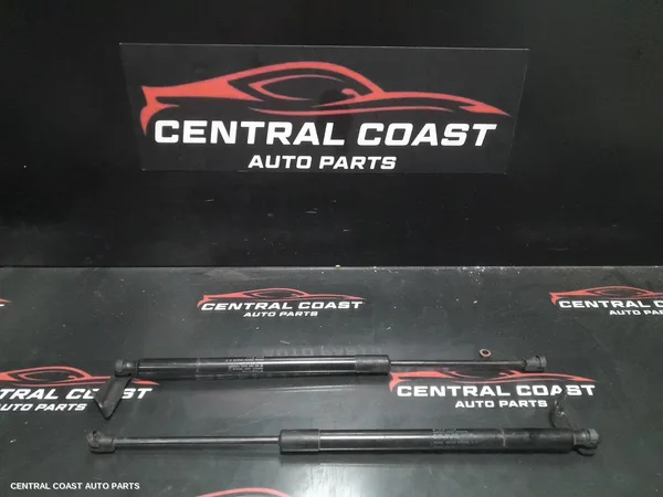 Hatch Strut