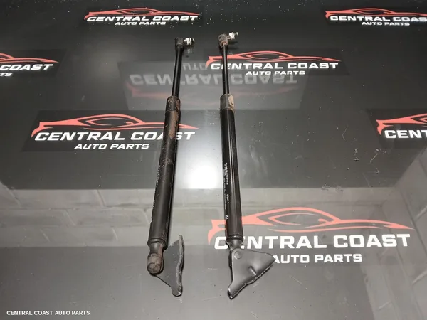 Hatch Strut