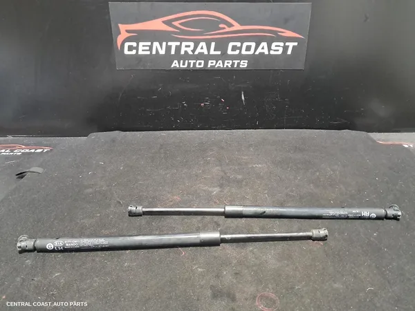 Hatch Strut