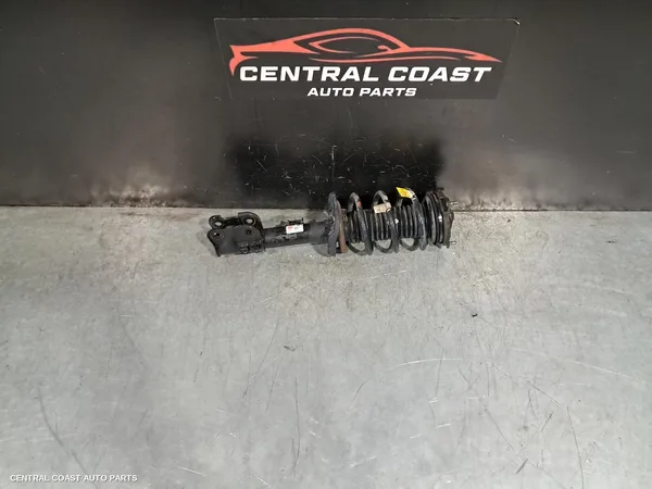Left Front Strut