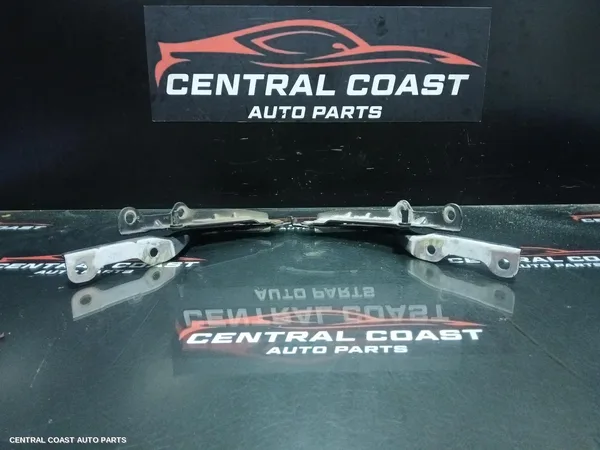 Bonnet Hinge/Strut