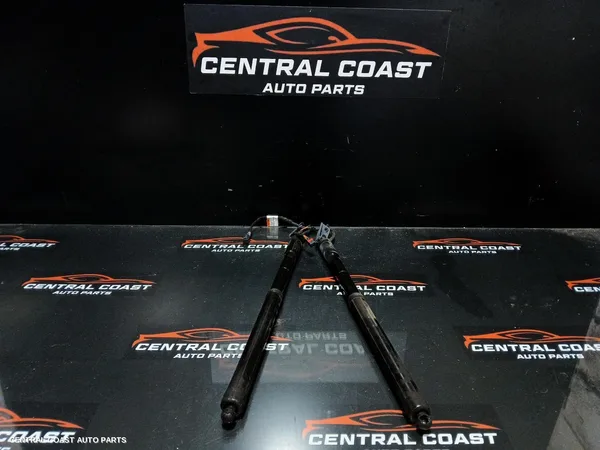 Hatch Strut