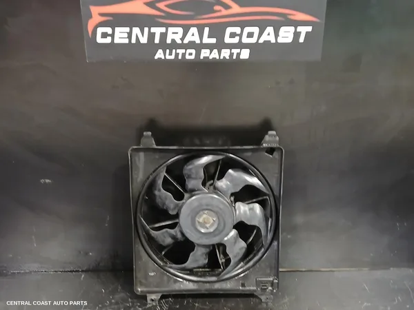 Fan