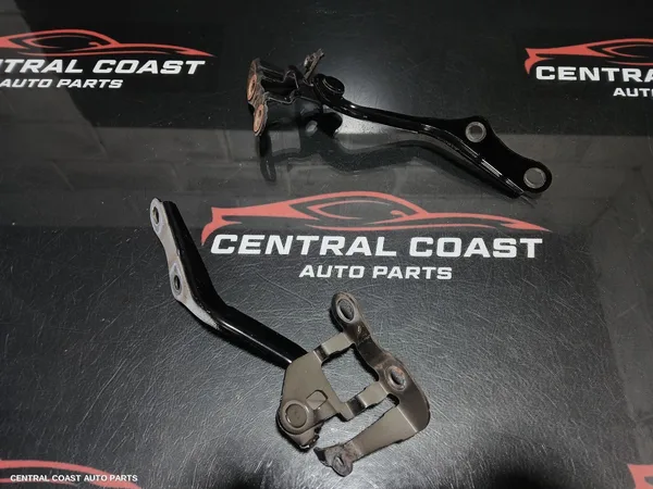 Bonnet Hinge/Strut