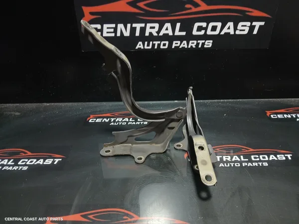 Bonnet Hinge/Strut