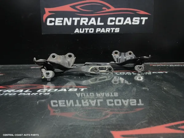 Bonnet Hinge/Strut