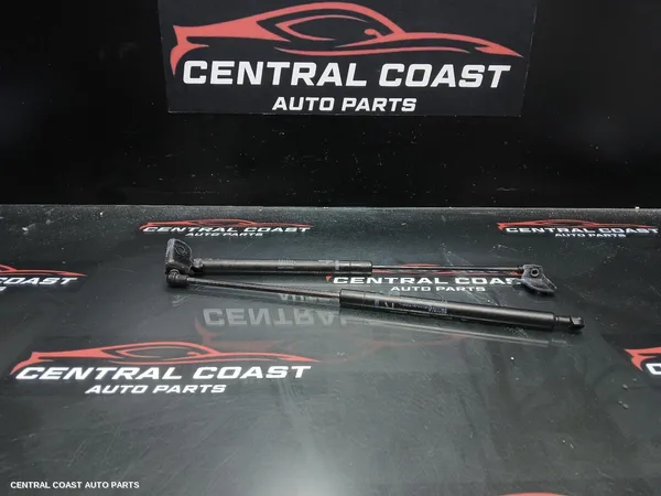Bonnet Hinge/Strut
