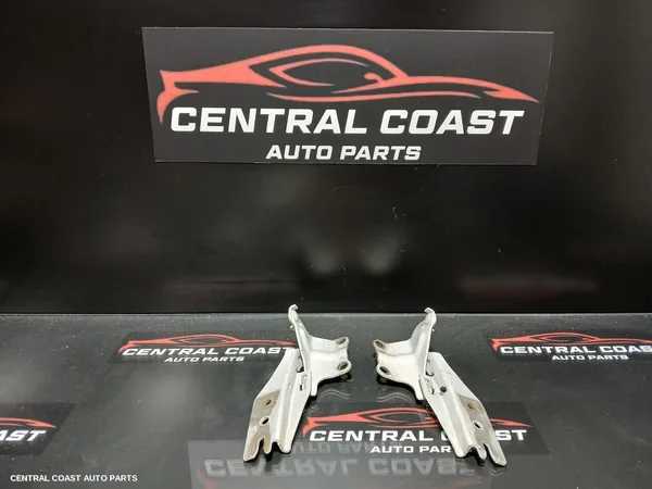 Bonnet Hinge/Strut