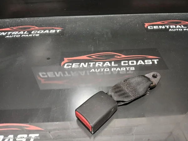 Seatbelt/Stalk