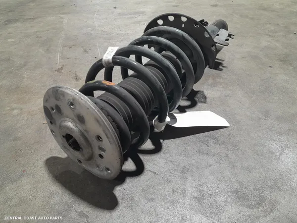 Left Front Strut