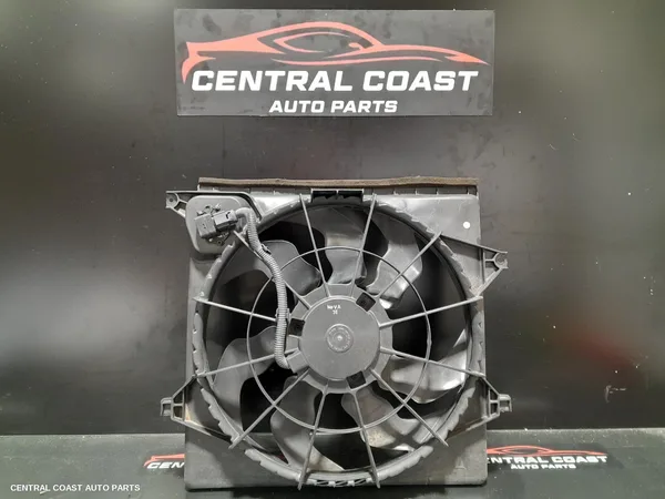 Fan