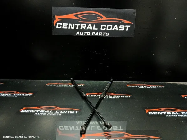 Bonnet Hinge/Strut