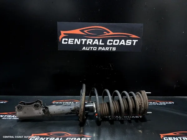Right Rear Strut