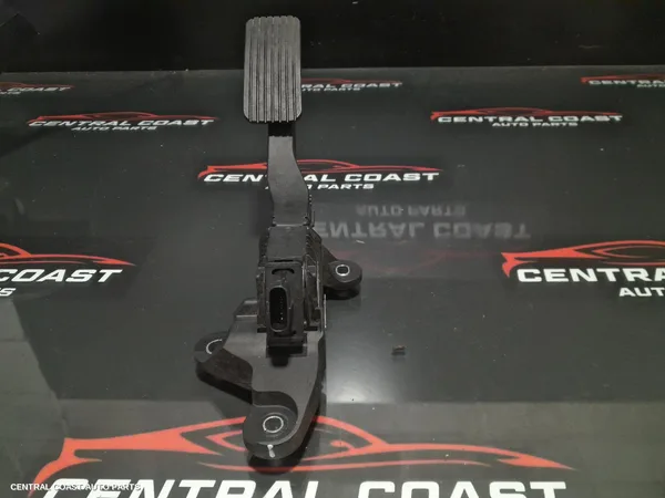 Pedal Assembly