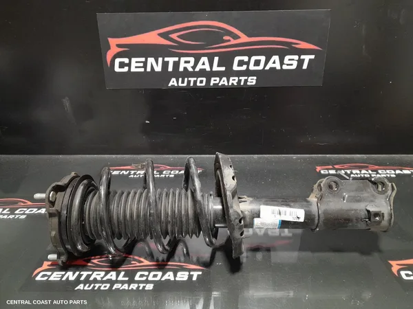 Left Front Strut