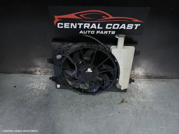 Fan