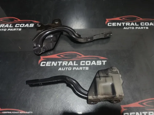 Bonnet Hinge/Strut