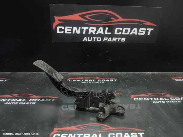 Pedal Assembly