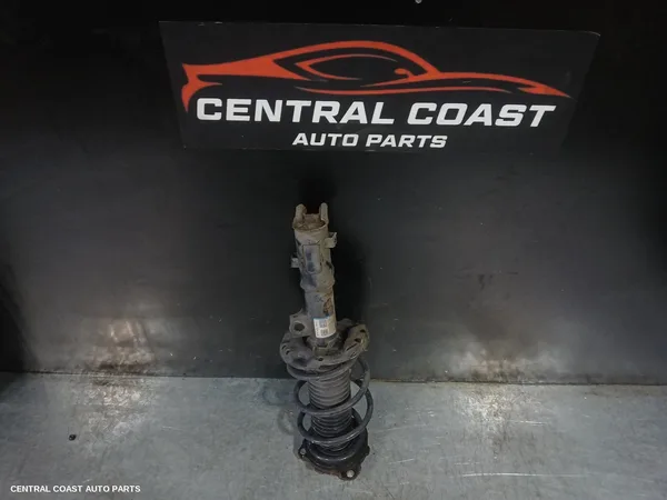 Right Front Strut