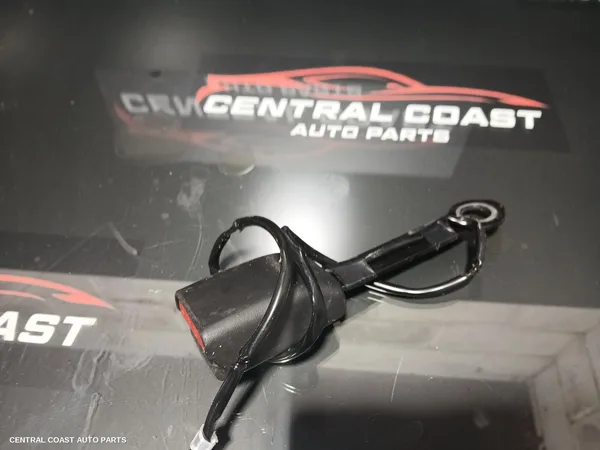 Seatbelt/Stalk