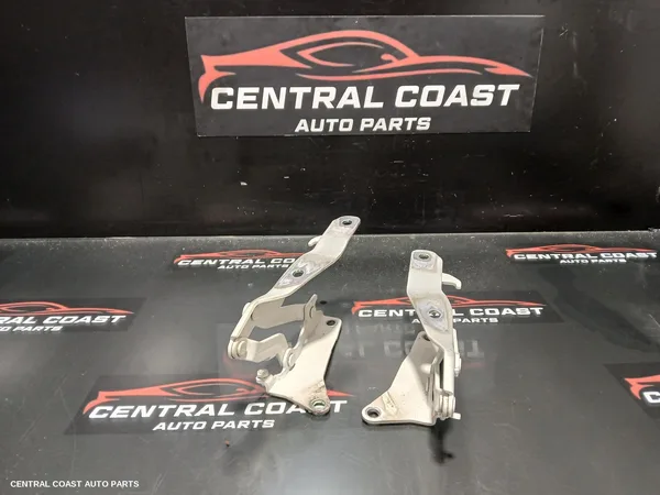 Bonnet Hinge/Strut