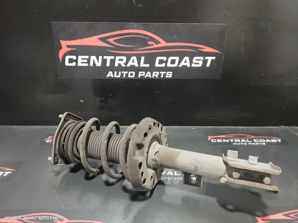 Left Front Strut