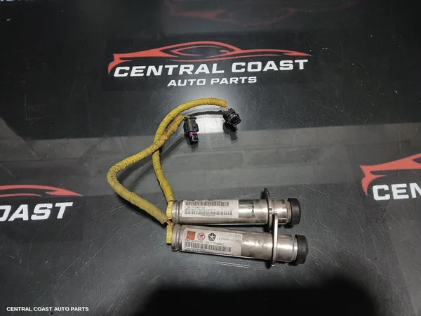 Bonnet Hinge/Strut