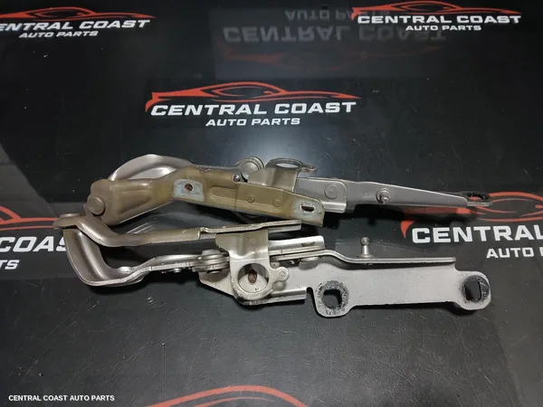 Bonnet Hinge/Strut